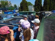 Celodenní výlet Mnichovo Hradiště